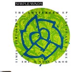 Simple Minds ‎– The Amsterdam EP / Sign O' The Times / Let It All Come Down / Jerusalem 4 Track Cd Maxi 1989