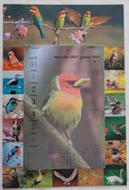 LIBOZA - Week-wandkalender 2024 - Vogels - rondom allemaal verschillende vogelfoto's - Met Eco Pen - Veel schrijfruimte - Ophangbaar - Stevige kartonnen achterkant - Cadeau - Verjaardag - Sinterklaas – Kerstmis