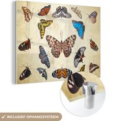 MuchoWow® Glasschilderij 120x90 cm - Schilderij acrylglas - Botanische print vlinders - Foto op glas - Schilderijen