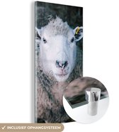 MuchoWow® Glasschilderij 20x40 cm - Schilderij acrylglas - Schaap - Dieren - Vee - Foto op glas - Schilderijen