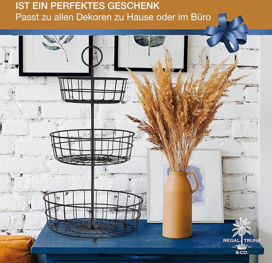 REGAL TRUNK & CO. Hangende fruitmand voor keuken - kom met bananenhouder - bewaar je groenten en fruit - fruitstandaard voor aanrecht, rustieke stijl, zachte lijnen - bronzen coatingstaal, 38,1 x 28,9