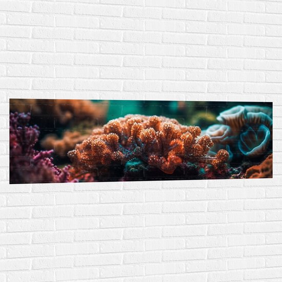 Muursticker - Oceaan - Zee - Koraal - Kleuren - 150x50 cm Foto op Muursticker