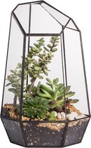 Geometrisch glazen terrarium voor vetplanten, luchtplanten, varen - 16,5 x 14,5 x 25 cm - moderne tuin onregelmatige glazen plantenbak pot - handgemaakte indoor tafelblad terrarium decor, zwart