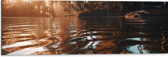 Dibond - Meer - Water - Bomen - Zonlicht - 90x30 cm Foto op Aluminium (Wanddecoratie van metaal)