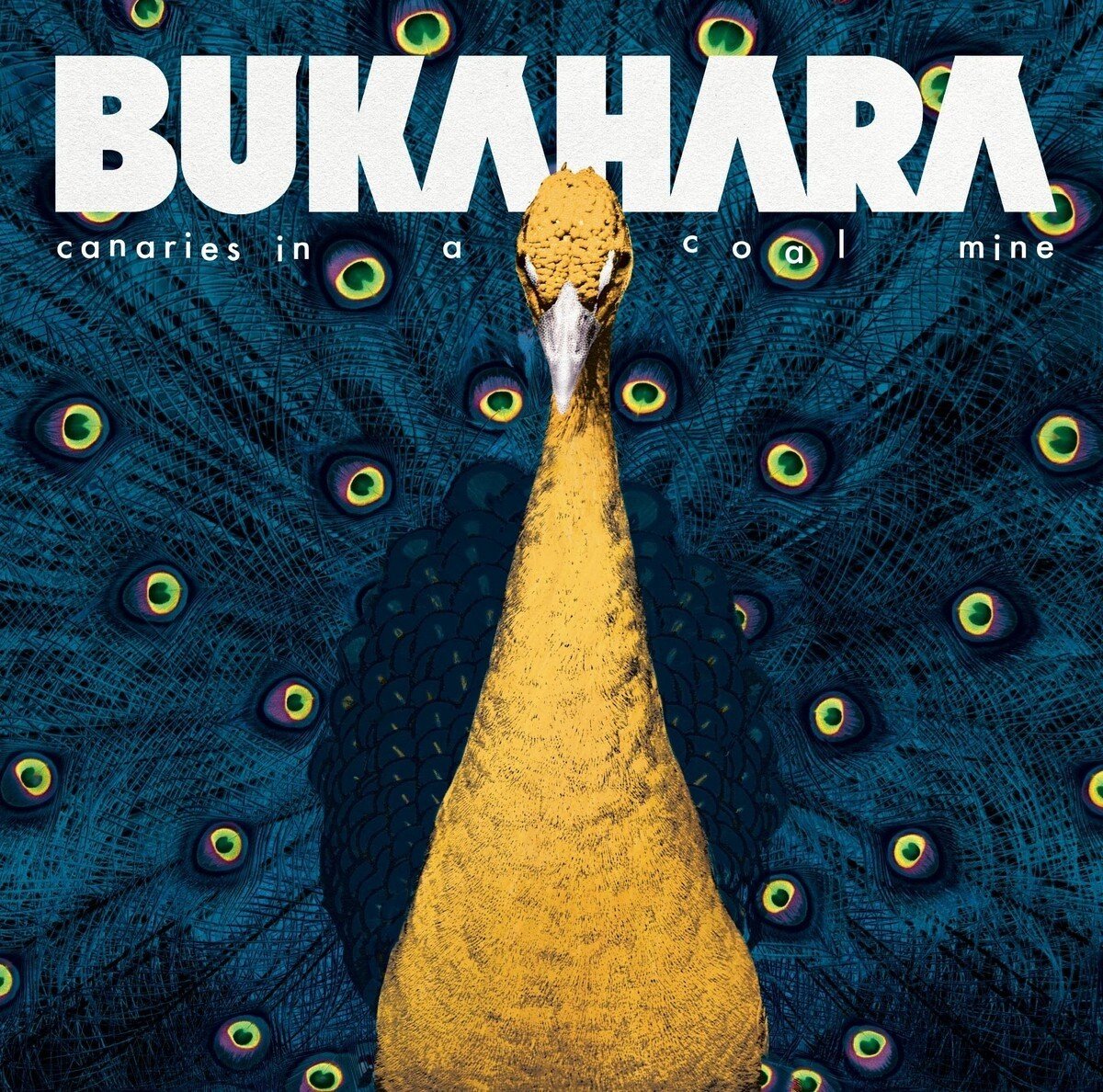 Bukahara - Canaries In A Coalmine (LP)
