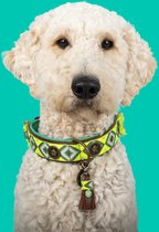 DWAM Dog with a Mission Halsband hond – Hondenhalsband – Groen – S – Leer – Halsomvang tussen 27-33 x 2 cm– Ranger