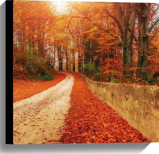 Canvas - Landschap - Bomen - Bossen - Bladeren - Herfst - 40x40 cm Foto op Canvas Schilderij (Wanddecoratie op Canvas)