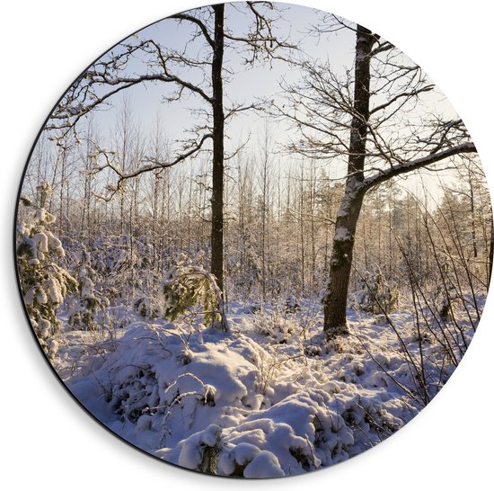 Dibond Muurcirkel - Landschap - Winter - Bomen - Planten - Sneeuw - Zon - 40x40 cm Foto op Aluminium Muurcirkel (met ophangsysteem)