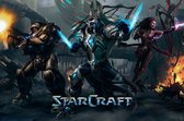 Poster Starcraft Legacy of the Void 91,5x61cm