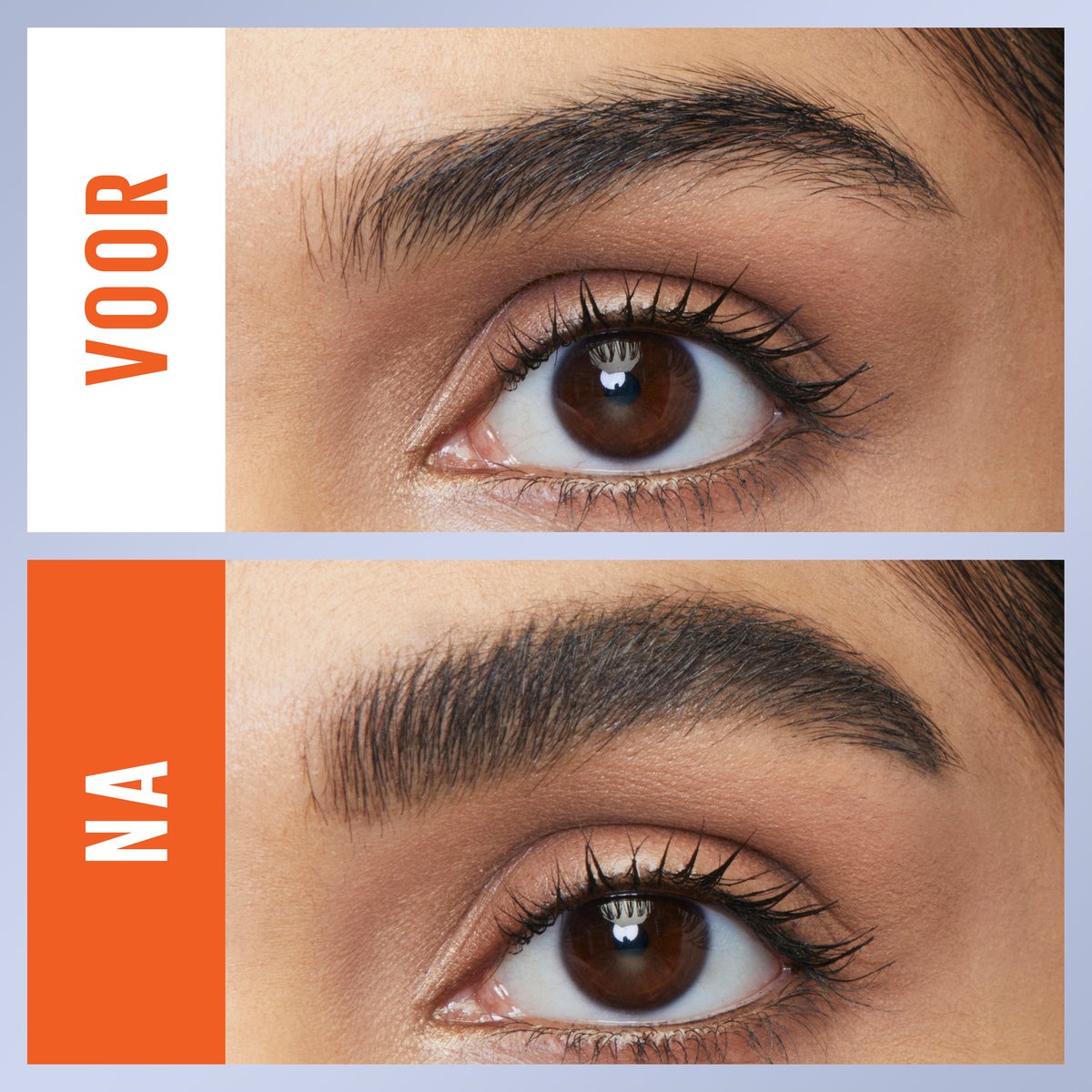 Maybelline Tattoo Brow Lift Stick Wenkbrauwpotlood met Stylingborstel 03 Medium Brown