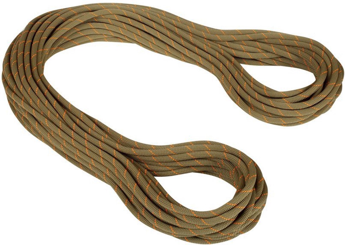 Mammut Gym Workhorse Classic 9.9 Mm Touw Oranje 40 m