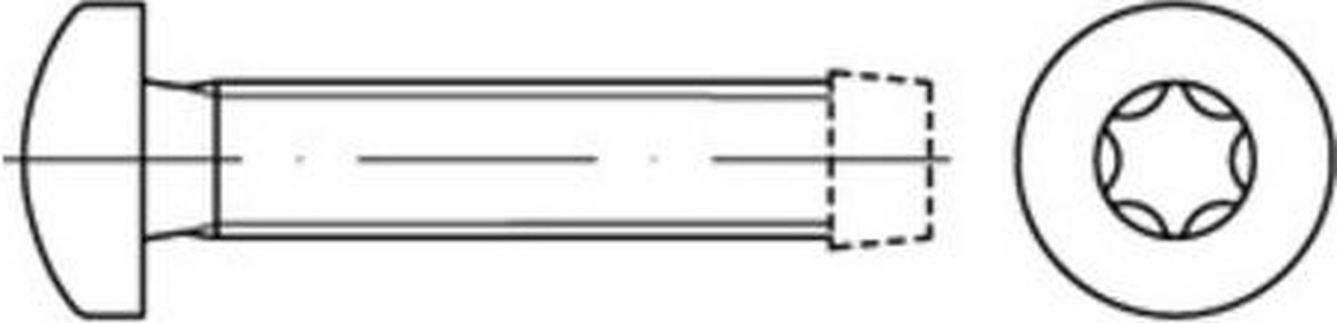 DIN 7500 - Staalvorm - Draadvormende schroeven, ISR - 500 stuks