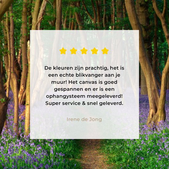 Peintures sur toile - Forêt - Chemin - Fleurs - 150x100 cm - Décoration murale