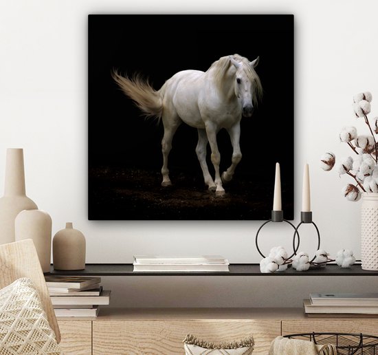 Cheval Wit devant une toile fond noir 2cm 50x50 cm - impression photo sur toile peinture Décoration murale salon / chambre à coucher) / Animaux sauvages Peintures Toile