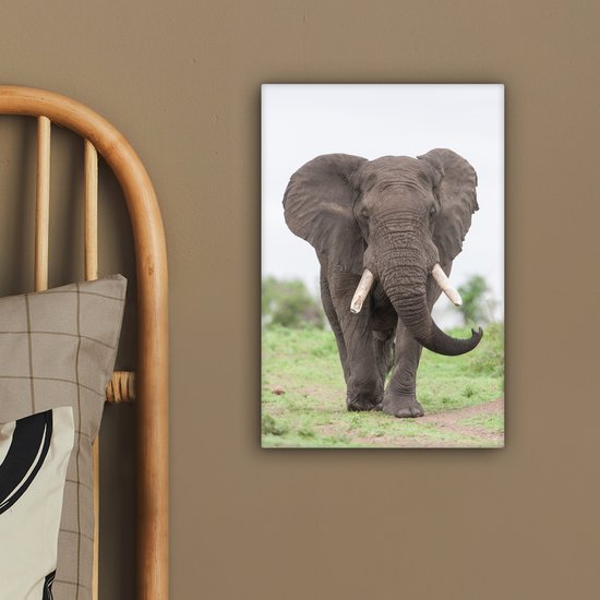 Peintures sur toile - Éléphant venant en sens inverse - 20x30 cm - Décoration murale