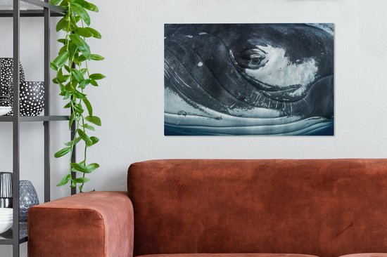 Toile de baleine à bosse gros plan 2cm 60x40 cm - Tirage photo sur toile (Décoration murale salon / chambre)