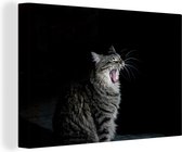 Peintures sur toile - Chat béant - 150x100 cm - Décoration murale