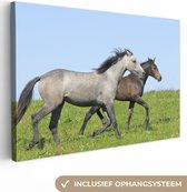 Canvas Schilderij Paarden - Dieren - Gras - 30x20 cm - Wanddecoratie