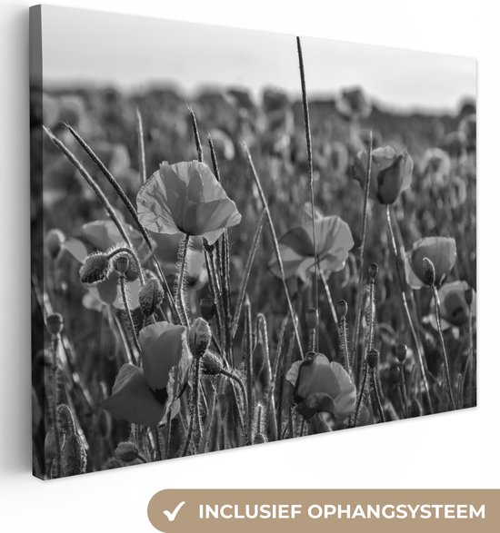 Canvas Schilderij Bloemen - Klaprozen - Natuur - Rood - 80x60 cm - Wanddecoratie