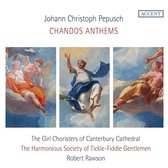 Alex Potter, Ciara Hendrick, Nicholas Mulroy - Pepusch: Chandos Anthems (CD)