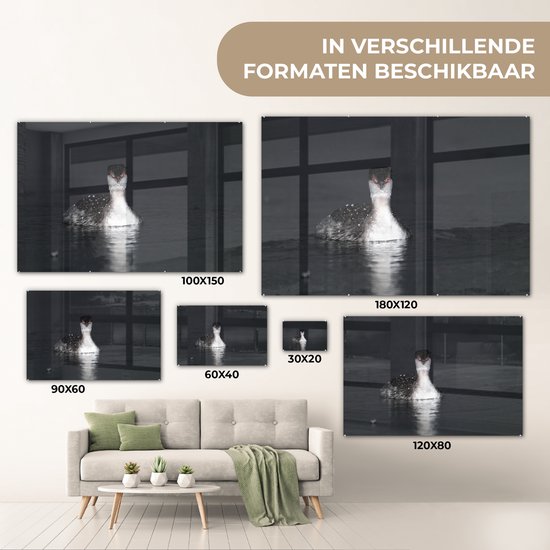 ® Glasschilderij 180x120 cm - Schilderij acrylglas - Een zwart-wit afbeelding van een Kuifduiker - Foto op glas - Muurdecoratie woonkamer - Wanddecoratie slaapkamer - Schilderijen
