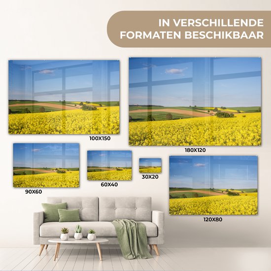 MuchoWow® Peinture sur verre 60x40 cm - Peinture sur verre acrylique - Printemps - Fleurs - Jaune - Photo sur verre - Peintures