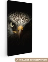 Canvas Schilderij Vogel - Adelaar - Roofvogels - Oog - Snavel - Licht - 20x40 cm - Wanddecoratie