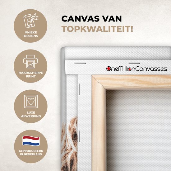 Canvas Schilderij Schotse hooglander - Koe - Wit - 90x120 cm - Wanddecoratie