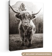 Schotse hooglander - Zwart - Wit - Dieren - Canvas - 60x80 cm - Wanddecoratie