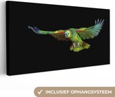 Canvas Schilderij Papegaai - Vogel - Veren - 80x40 cm - Wanddecoratie