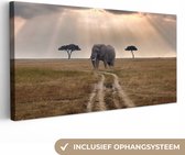 Tableau sur toile Soleil sur un éléphant dans une réserve naturelle - 80x40 cm - Décoration murale