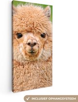 Canvas Schilderij Alpaca - Wol - Bruin - 40x80 cm - Wanddecoratie