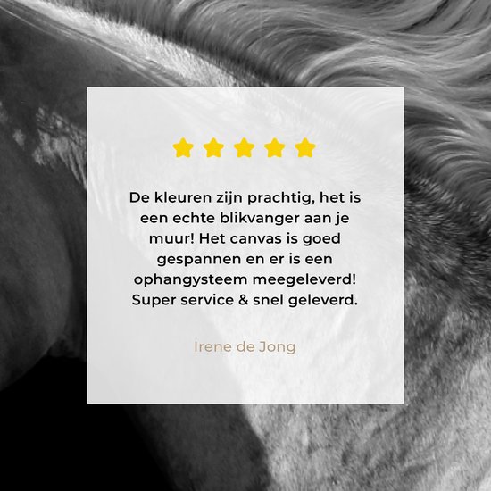 Tableau sur Toile Paarden - Animal de la Ferme - Crinière - 40x20 cm - Décoration murale