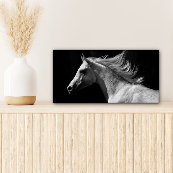 Tableau sur Toile Paarden - Animal de la Ferme - Crinière - 40x20 cm - Décoration murale