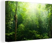 Canvas Schilderij Jungle - Zonlicht - Groen - Meisjes - Kinderen - Jongens - 120x80 cm - Wanddecoratie