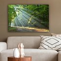 Zonnestralen op een bosweg, hangend boven een bank in een woonkamer.