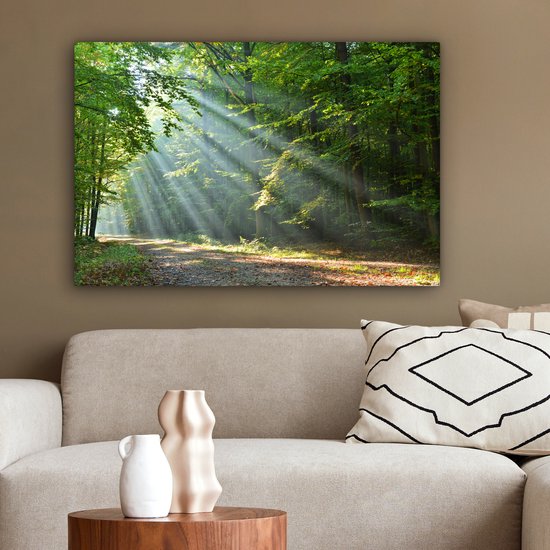 Zonnestralen op een bosweg, hangend boven een bank in een woonkamer.