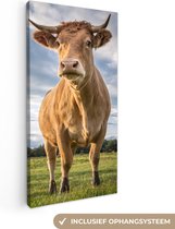 Canvas Schilderij Koe - Bruin - Natuur - 20x40 cm - Wanddecoratie