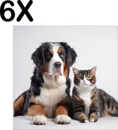 BWK Textiele Placemat - Hond en Kat met Witte Achtergrond - Set van 6 Placemats - 40x40 cm - Polyester Stof - Afneembaar