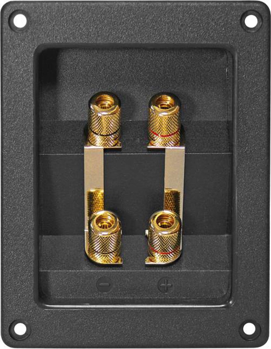 Dynavox Luidspreker Aansluiting - verguld - 120x90mm