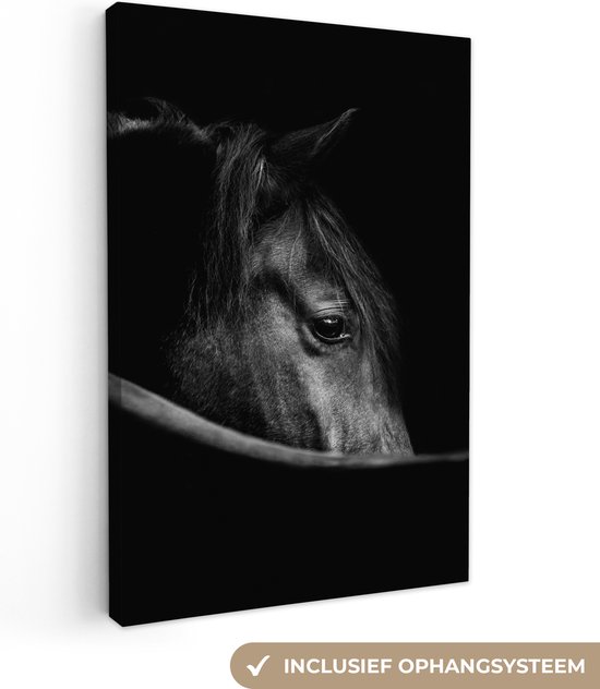 Canvas schilderij - Dier - Paard - Natuur - Woondecoratie - Canvas - 20x30 cm - Foto op canvas - Woonkamer
