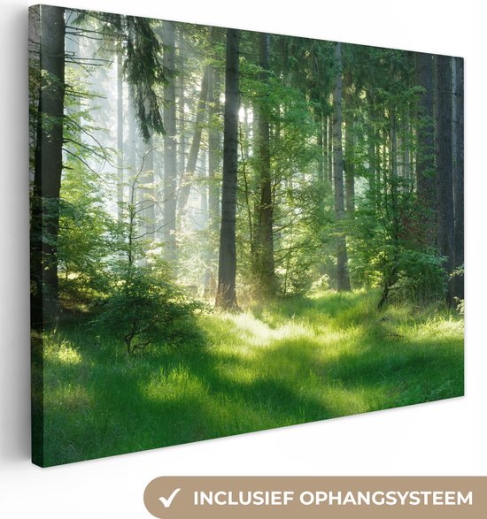 Peinture sur toile - Forêt - Herbe - Paysage - Arbre - Peintures sur toile - Toile canvas - 40x30 cm