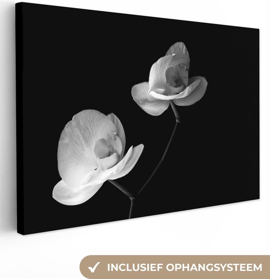 Canvas schilderij 180x120 cm - Wanddecoratie Orchidee - Bloemen - Zwart - Wit - Stilleven - Muurdecoratie woonkamer - Slaapkamer decoratie - Kamer accessoires - Schilderijen