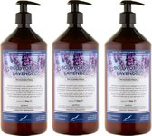 Bodylotion Lavendel 1 liter - set van 3 stuks - met gratis pomp