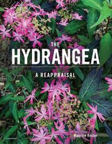 The Hydrangea