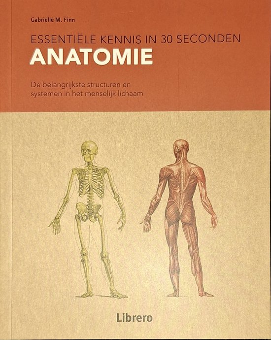 Anatomie - cover