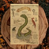 AliRose Poster - THE BASILISK - Harry Potter - Mystical Animals - Mysterieuze Wezens - Magic - Vintage Poster - Dark Creatures - Chamber of Secrets - 50x70cm - Geen Frame