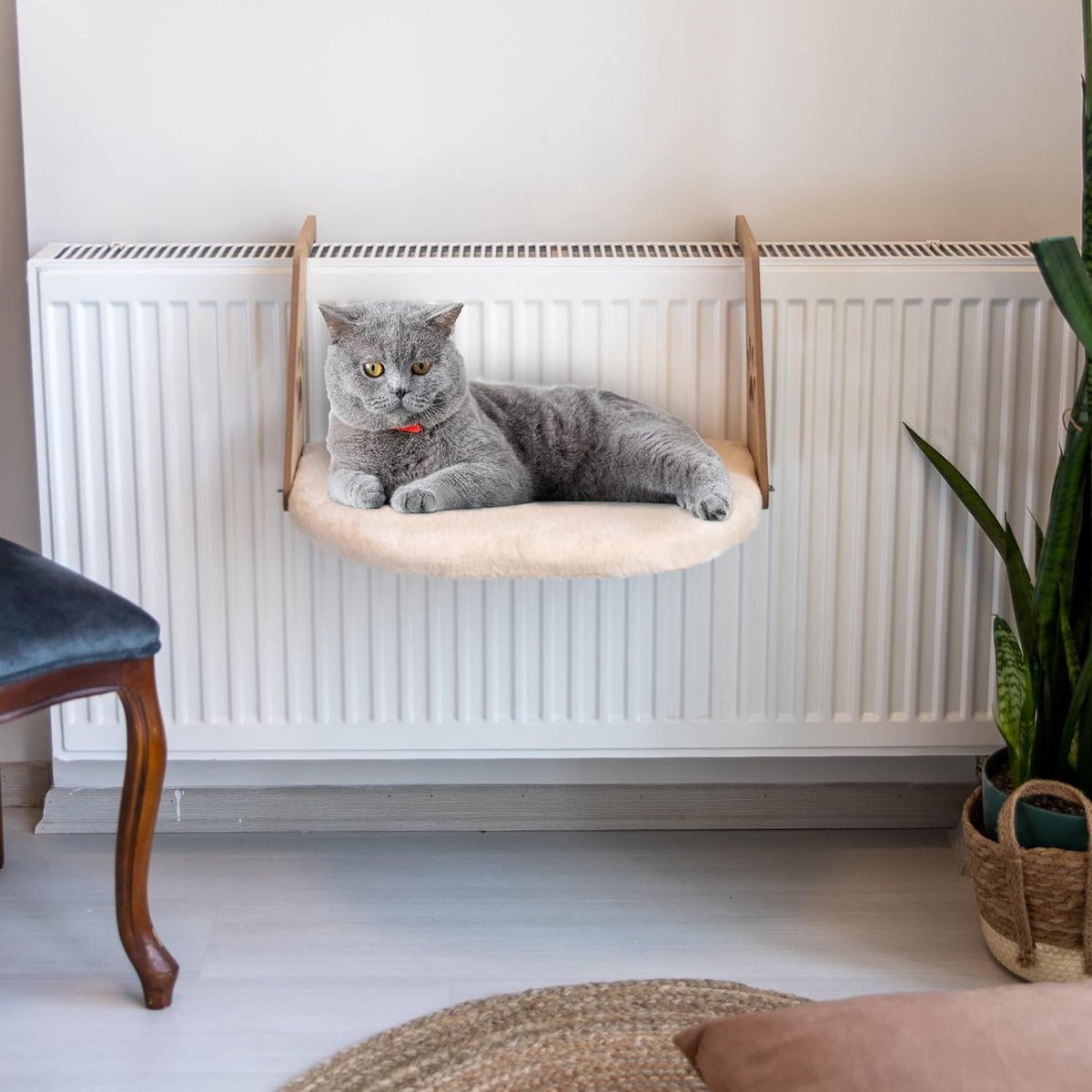 Radiator bed for cats deals