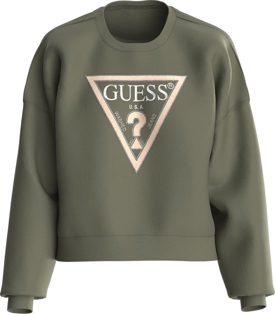 Guess CN Pony Hair Sweatshirt Pull Femme - Vert - Taille S