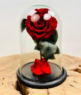 Longlife Roos ‘rood’ klein in stolp | Eeuwige Roos | Perfect voor ieder interieur | Een fantastische gift om jouw geliefde mee te verrassen